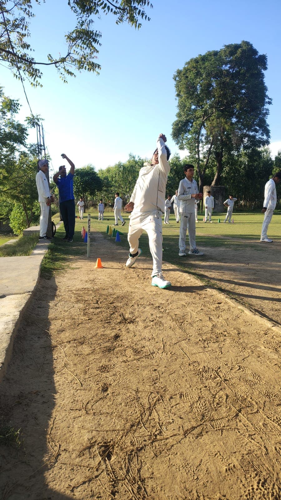 Cricket Practice Nets